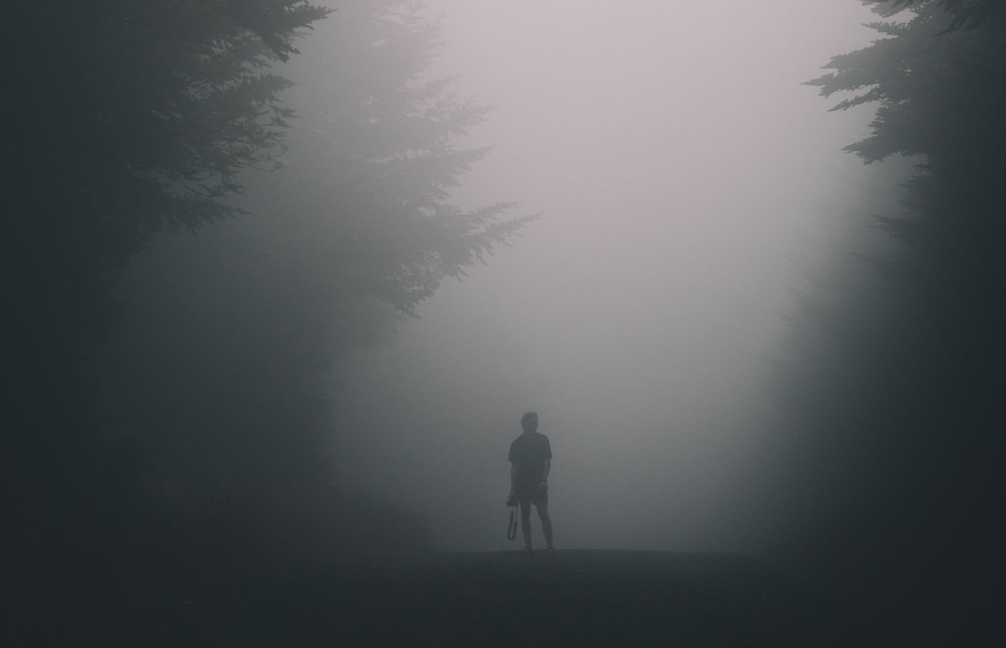 person standing beside trees